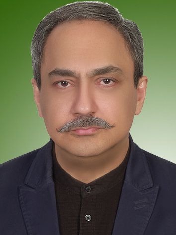 مهران محمدی شمیرانی