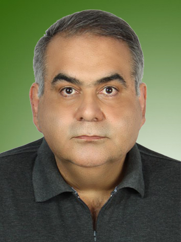 محسن رفعتی