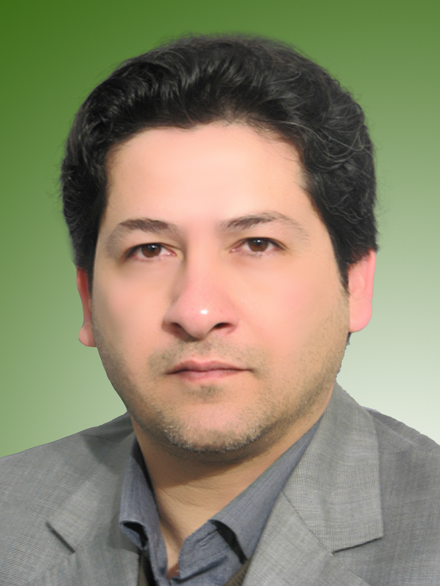 پژمان رودگرمی