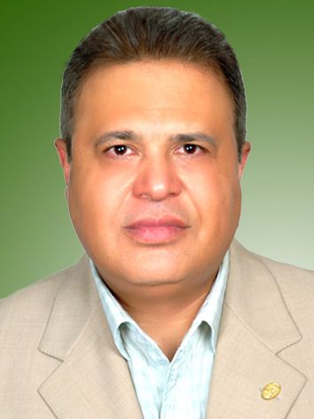 رضا مفیدی ذاتی