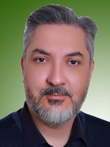 رضا فیضی