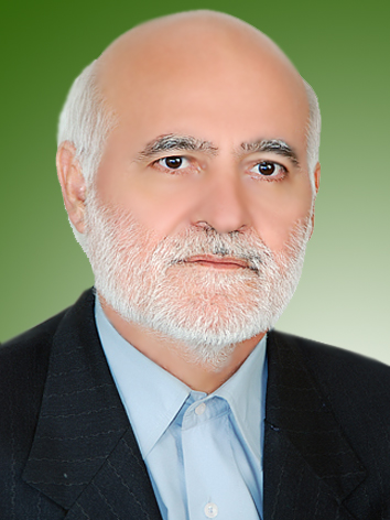 علی اکبر علی پور