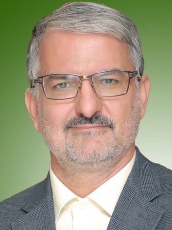 محمدجواد تیموری
