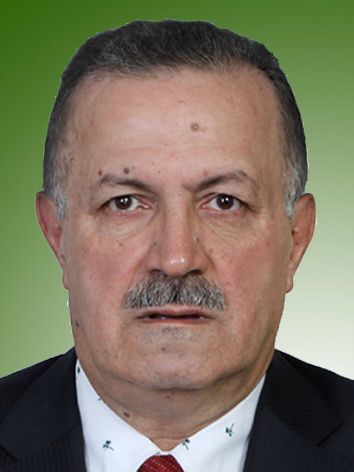 سیف الدین محمدی دوگاهه