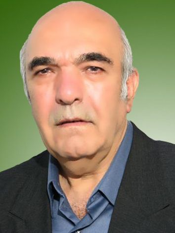 میر محمود رضوی حسابی