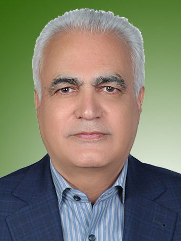 میربهروز غیبی
