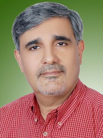 مسعود روغنی زنجانی