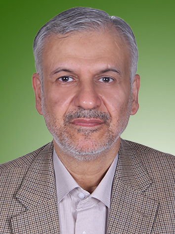 سیدرضا زکی زاده