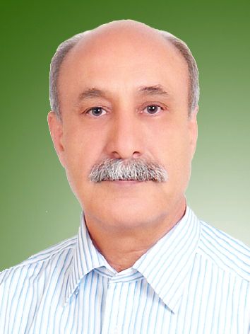 محمدحسن مسیح آبادی