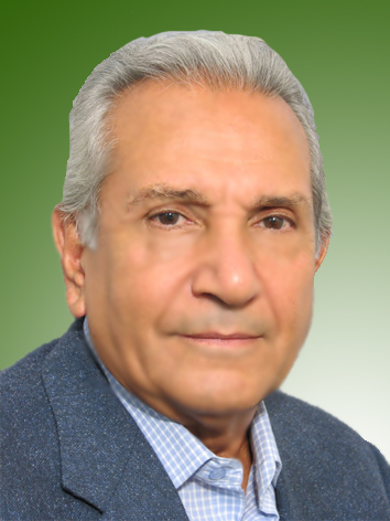 منصور نخعی