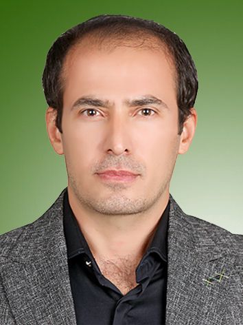 حامد سیف اله زاده