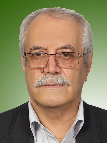بهزاد رئیسی