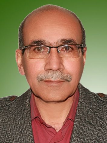 غلامرضا رستم خانی