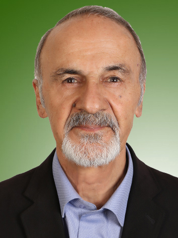 طاهر لطفی