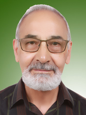 احسن انوار