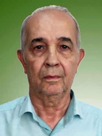 عبدالرحمن حسنی
