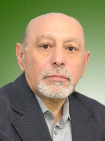 محمدرضا مقدم زاده