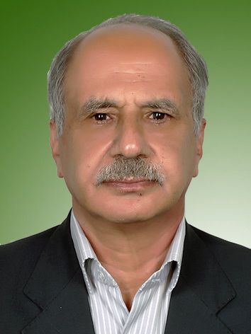 سیدمحمدرضا احمدی