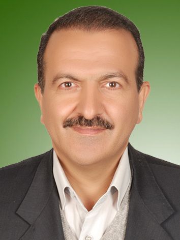 سعید امیری