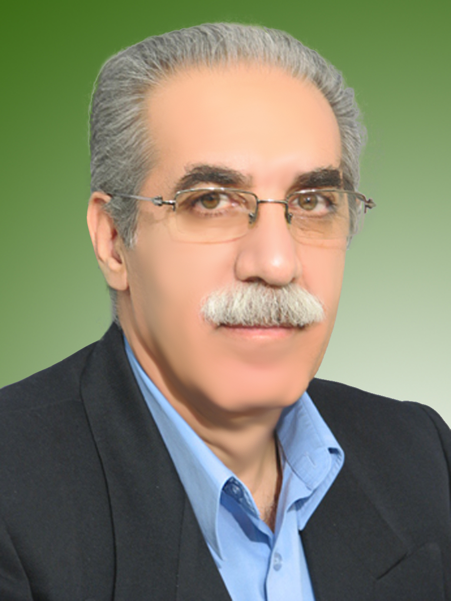 امیرمنصور شرافت وزیری