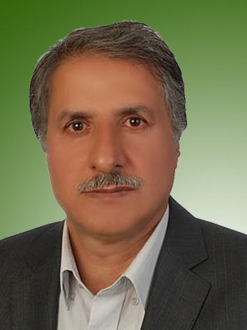 محمد ابوالفتحی