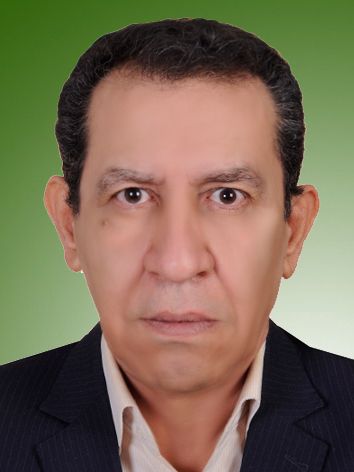 محسن عروجی