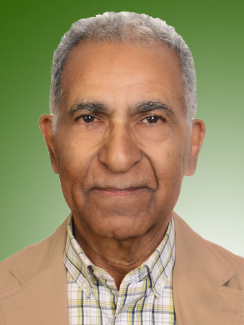 مسعود وکیل