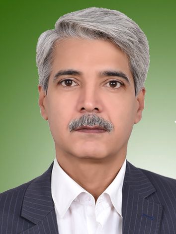 ناصر سلیمانی