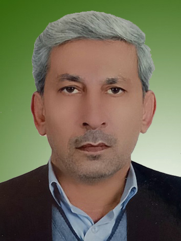رضا پیروزی