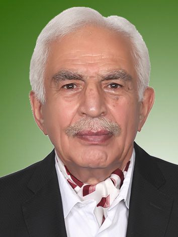فتح الله صابری نیاکی