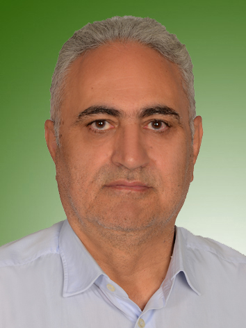 مجید علی محمدی