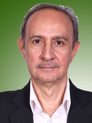 حمید دلیلی