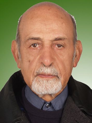 محمدحسین تقوی