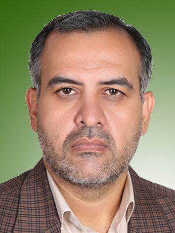 محمدرضا هروی