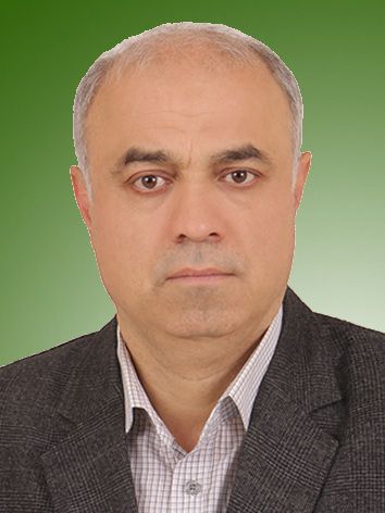 مجید صابونی