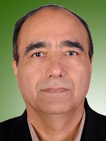 محمدحسن توصیفیان