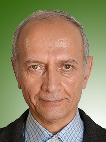 محسن کارگرنوین