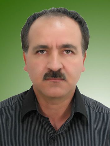 ساسان حبیبی