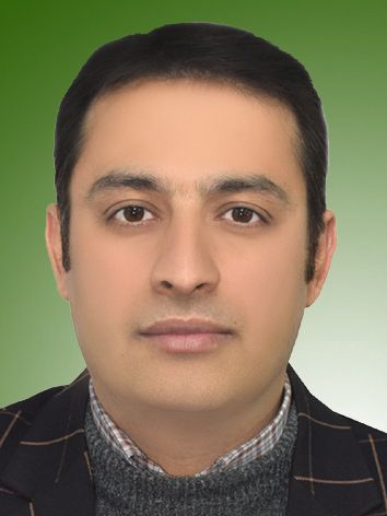 علی فرزانه