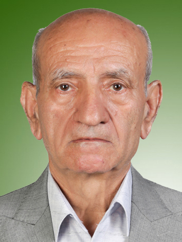 حسن رسولی دیسفانی