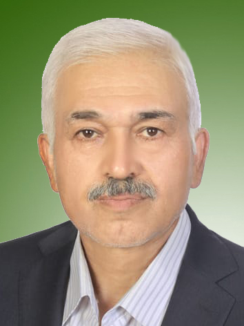علیرضا مه پیما