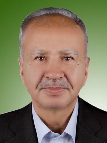 محمدرضا غلامی