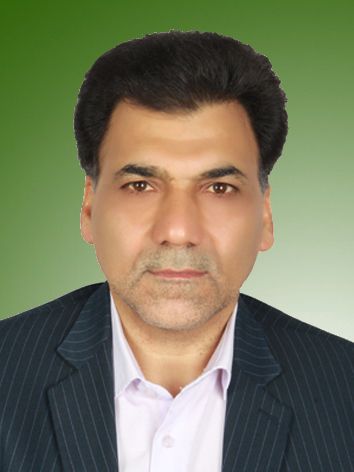 علی محمدی