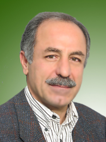 محمد حسین البرزی