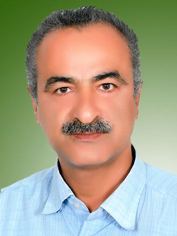 حمید علیمحمدی