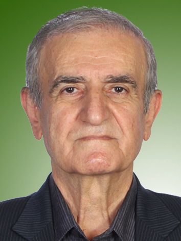 علی امامی