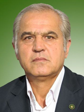 هادی صادقی