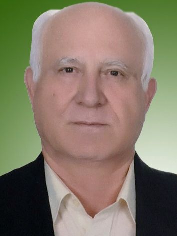 رضا علی پور
