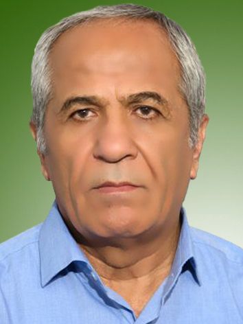 امیر نوروزی
