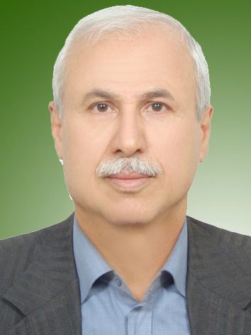 زین العابدین مهدی پور روشن